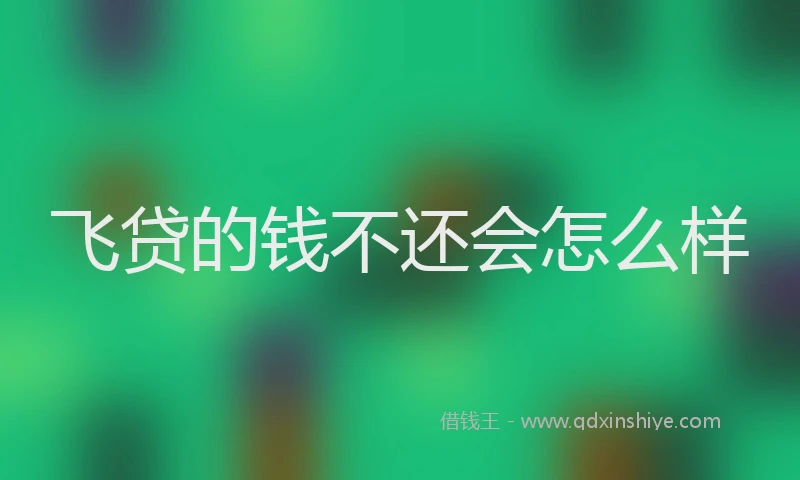 飞贷的钱不还会怎么样