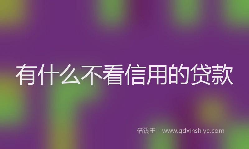 有什么不看信用的贷款