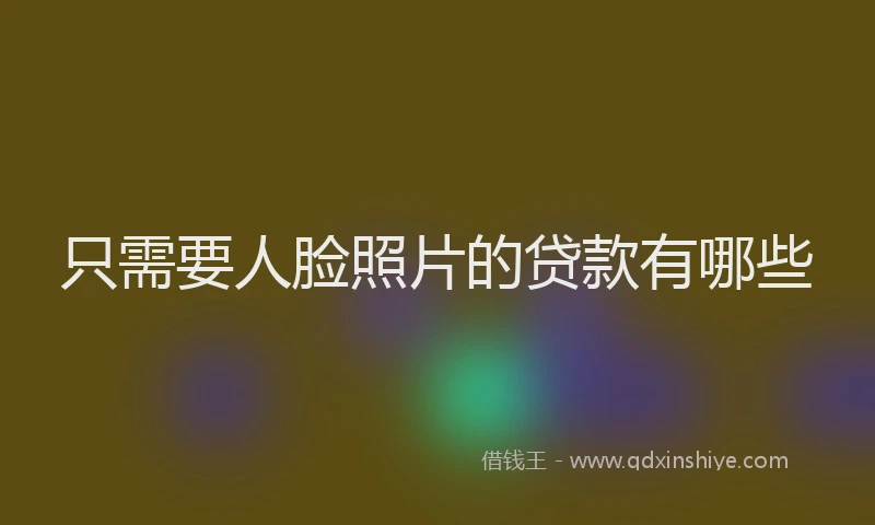 只需要人脸照片的贷款有哪些