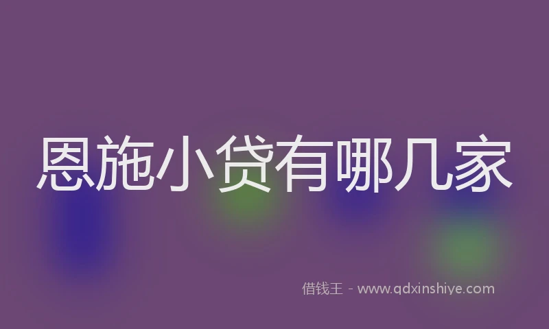 恩施小贷有哪几家