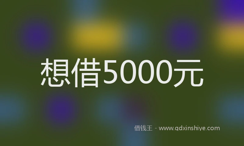 想借5000元