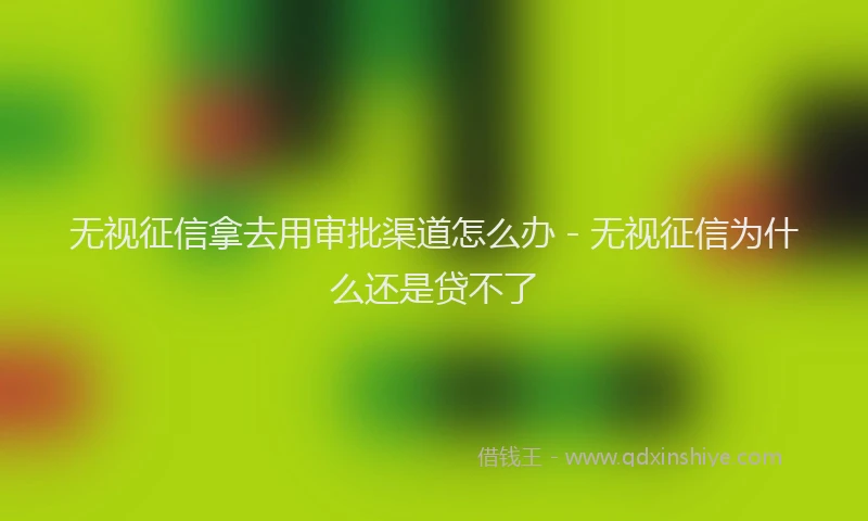无视征信拿去用审批渠道怎么办 - 无视征信为什么还是贷不了