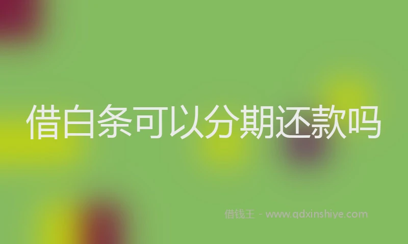 借白条可以分期还款吗
