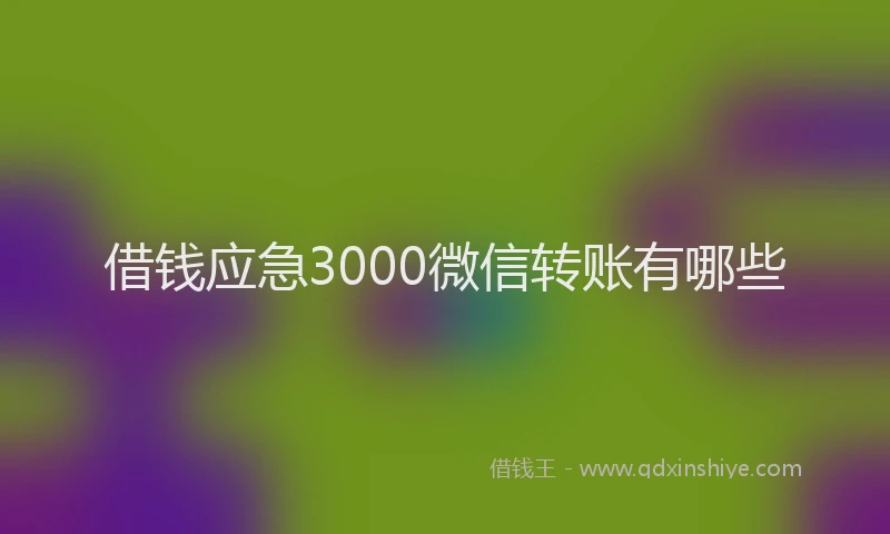 借钱应急3000微信转账有哪些