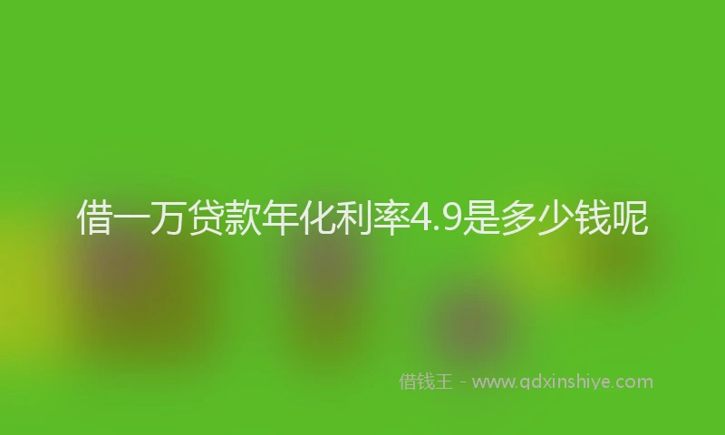 借一万贷款年化利率4.9是多少钱呢