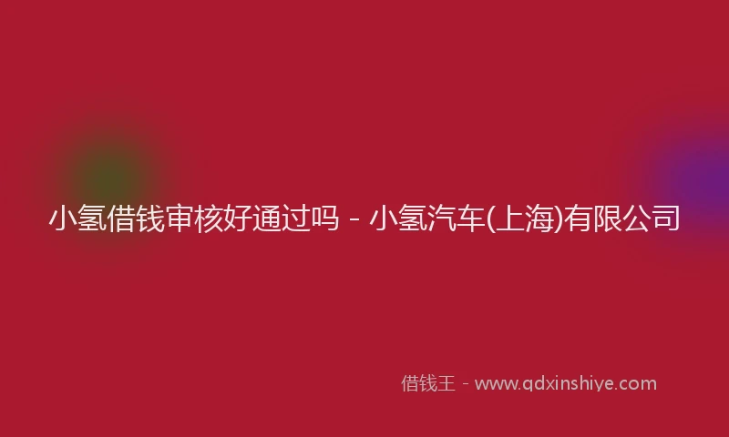 小氢借钱审核好通过吗 - 小氢汽车(上海)有限公司