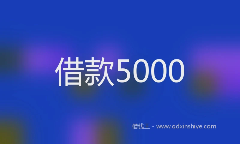 借款5000
