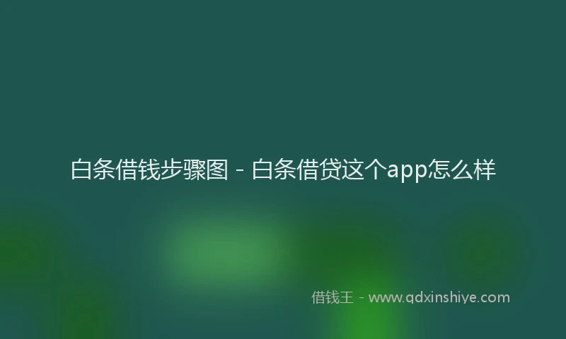 白条借钱步骤图 - 白条借贷这个app怎么样