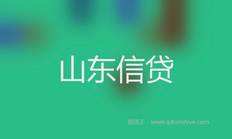 山东信贷