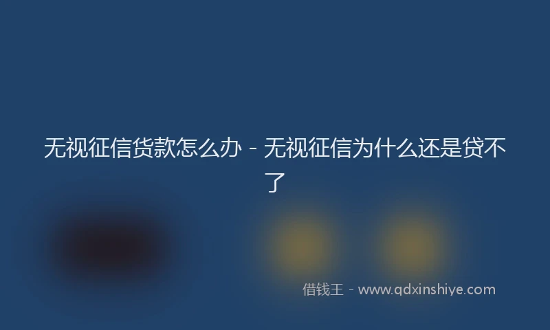 无视征信货款怎么办 - 无视征信为什么还是贷不了
