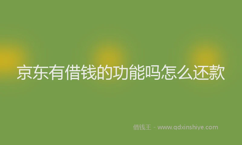 京东有借钱的功能吗怎么还款
