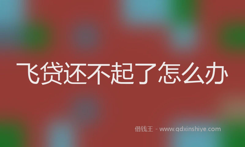飞贷还不起了怎么办