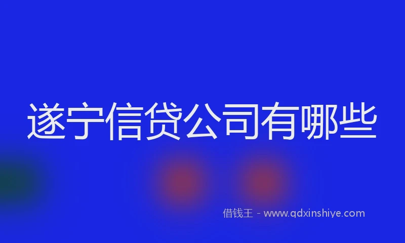 遂宁信贷公司有哪些