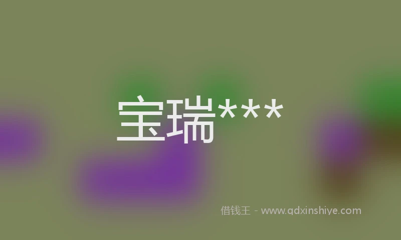 宝瑞***