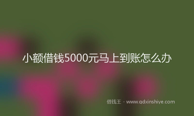 小额借钱5000元马上到账怎么办