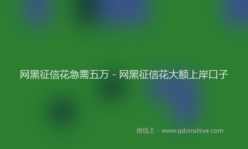 网黑征信花急需五万 - 网黑征信花大额上岸口子