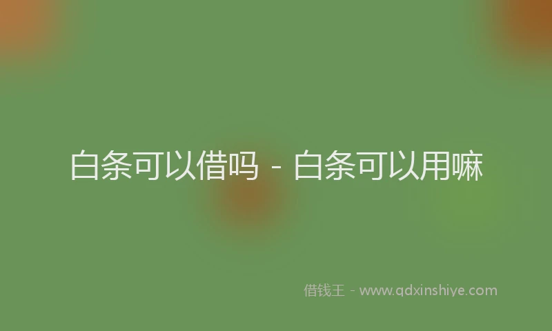 白条可以借吗 - 白条可以用嘛