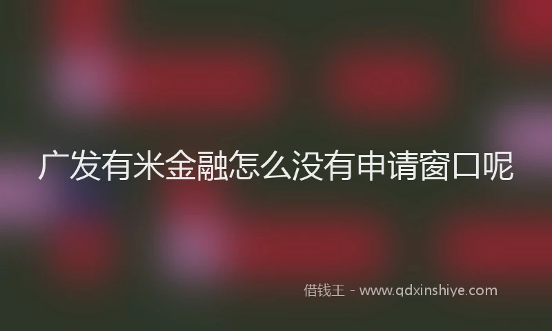 广发有米金融怎么没有申请窗口呢