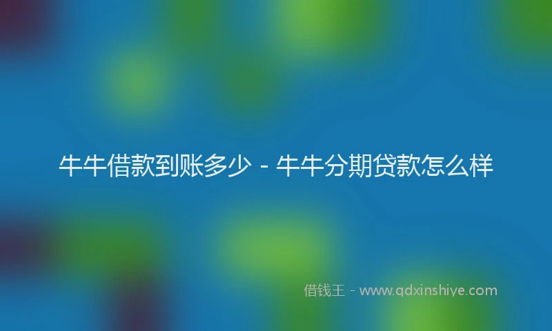 牛牛借款到账多少 - 牛牛分期贷款怎么样