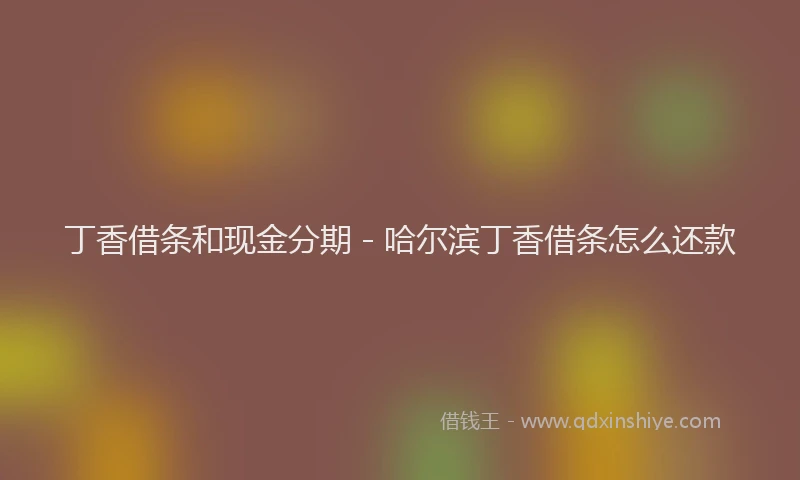 丁香借条和现金分期 - 哈尔滨丁香借条怎么还款