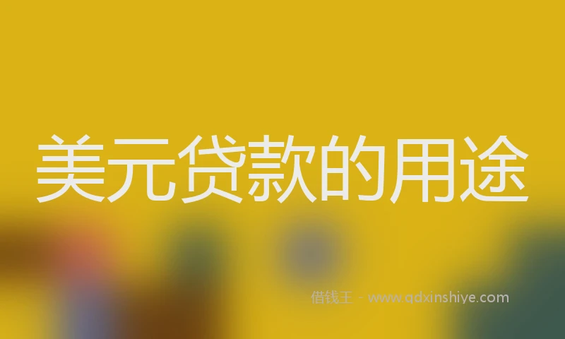 美元贷款的用途