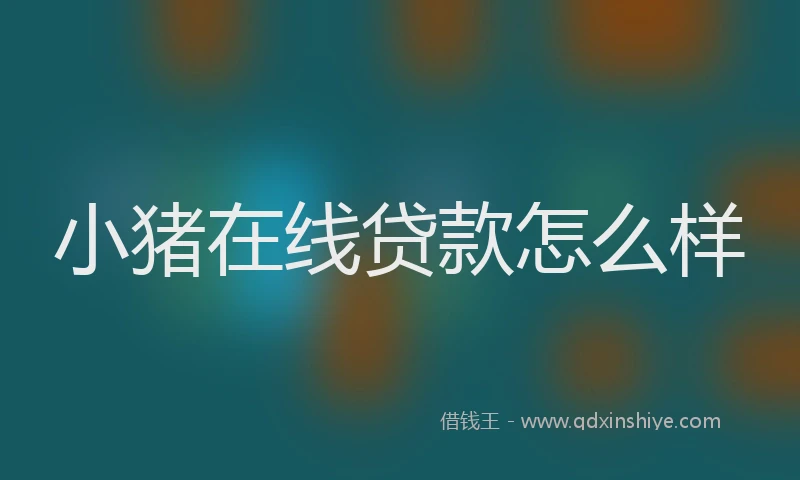 小猪在线贷款怎么样