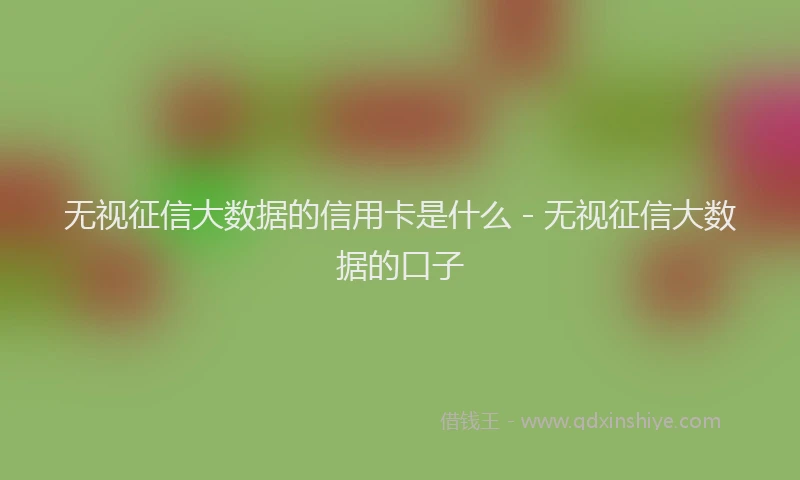 无视征信大数据的信用卡是什么 - 无视征信大数据的口子