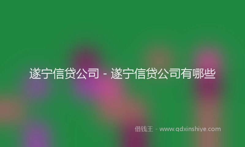 遂宁信贷公司 - 遂宁信贷公司有哪些