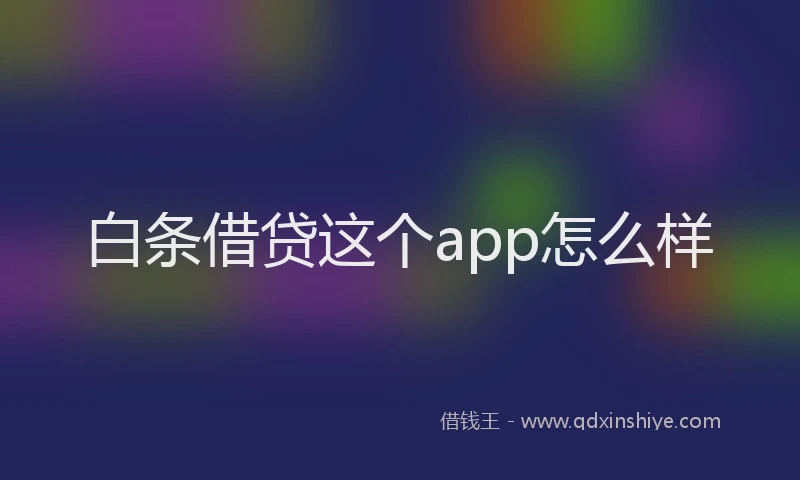 白条借贷这个app怎么样