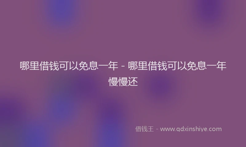 哪里借钱可以免息一年 - 哪里借钱可以免息一年慢慢还