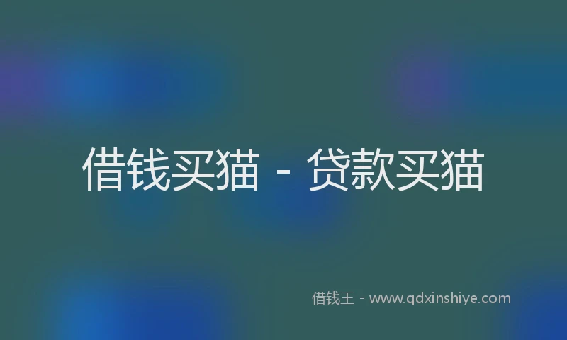 借钱买猫 - 贷款买猫