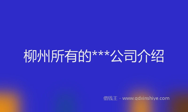 柳州所有的***公司介绍