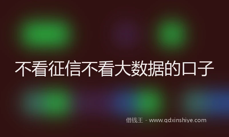 不看征信不看大数据的口子