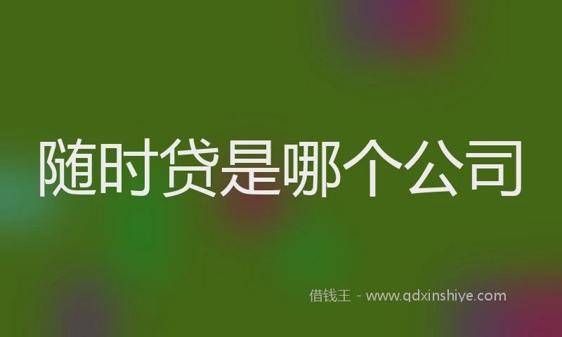 随时贷是哪个公司