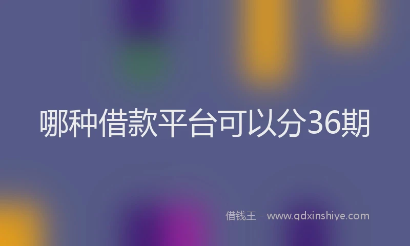 哪种借款平台可以分36期