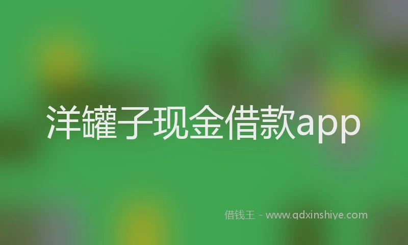 洋罐子现金借款app