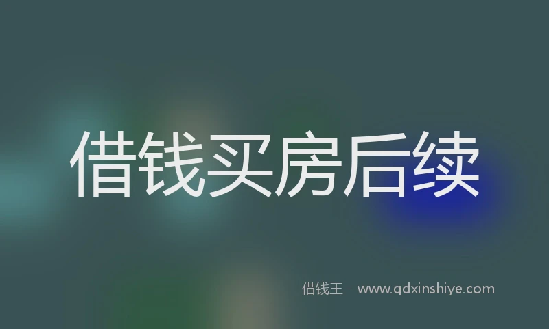 借钱买房后续