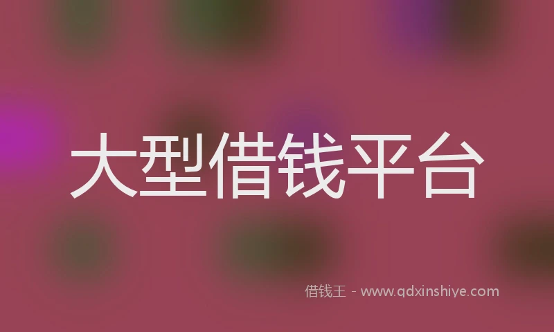 大型借钱平台