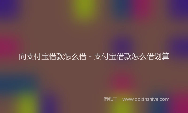 向支付宝借款怎么借 - 支付宝借款怎么借划算