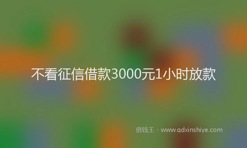不看征信借款3000元1小时放款