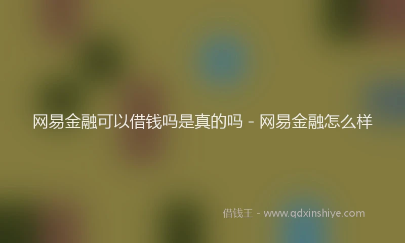 网易金融可以借钱吗是真的吗 - 网易金融怎么样