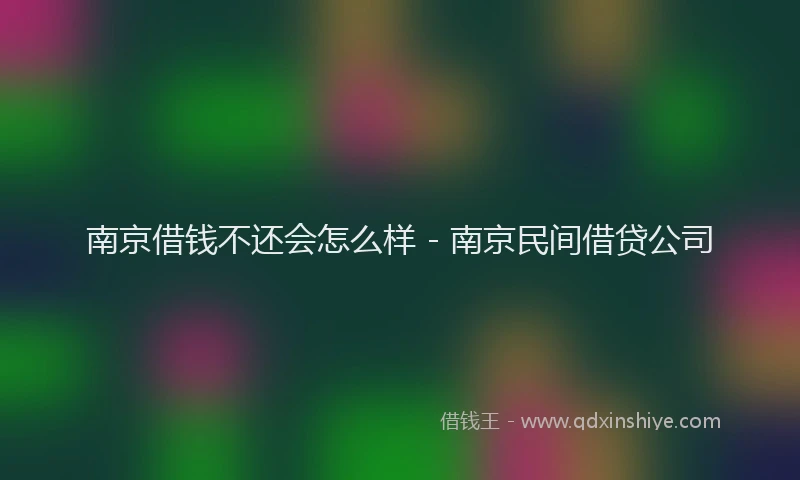 南京借钱不还会怎么样 - 南京民间借贷公司
