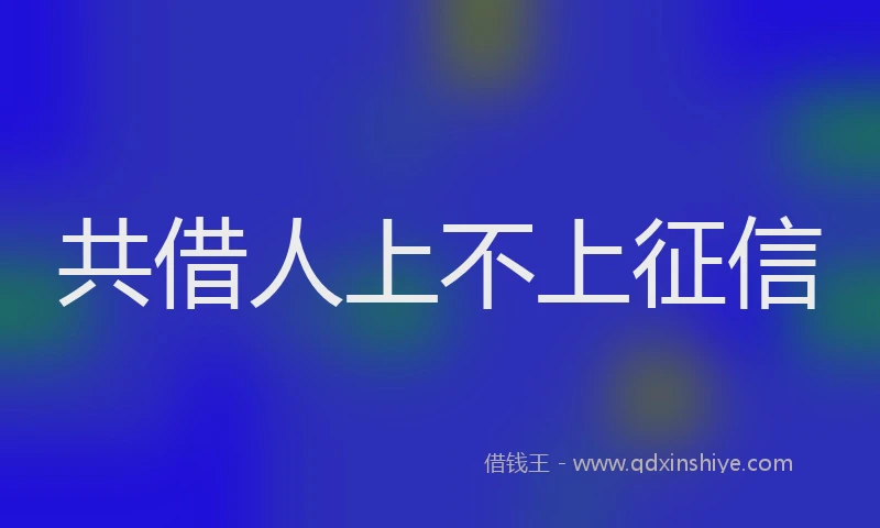 共借人上不上征信