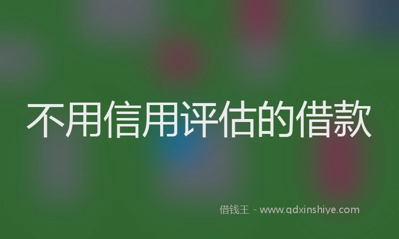 不用信用评估的借款