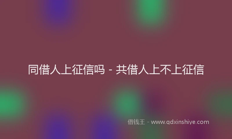 同借人上征信吗 - 共借人上不上征信