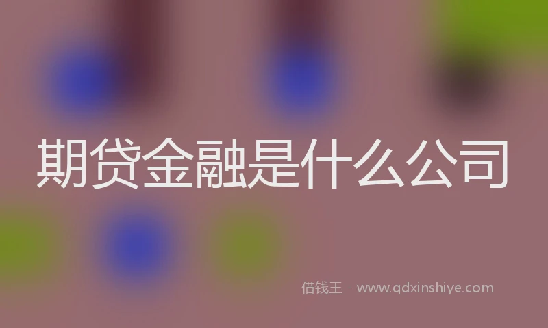 期贷金融是什么公司