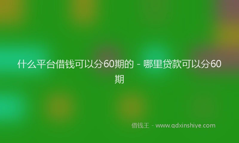 什么平台借钱可以分60期的 - 哪里贷款可以分60期
