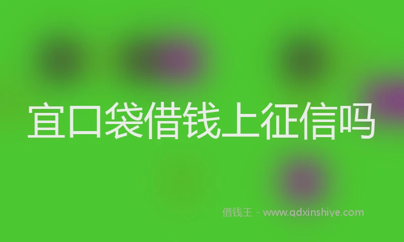 宜口袋借钱上征信吗