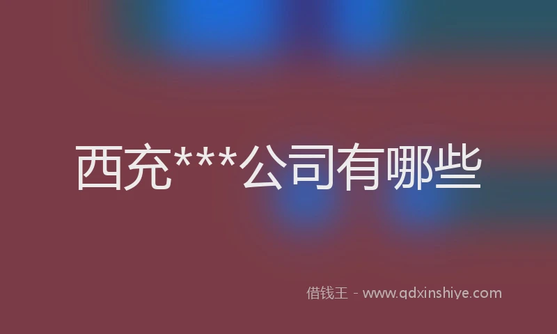 西充***公司有哪些