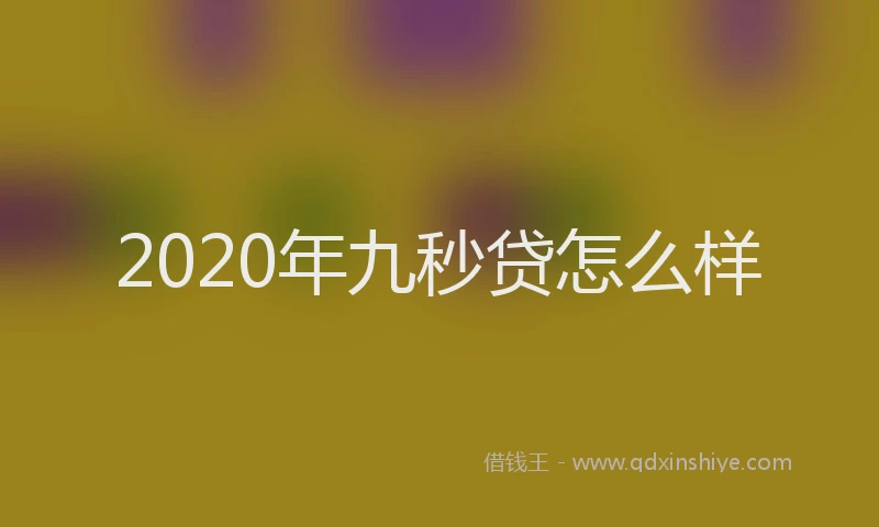 2020年九秒贷怎么样